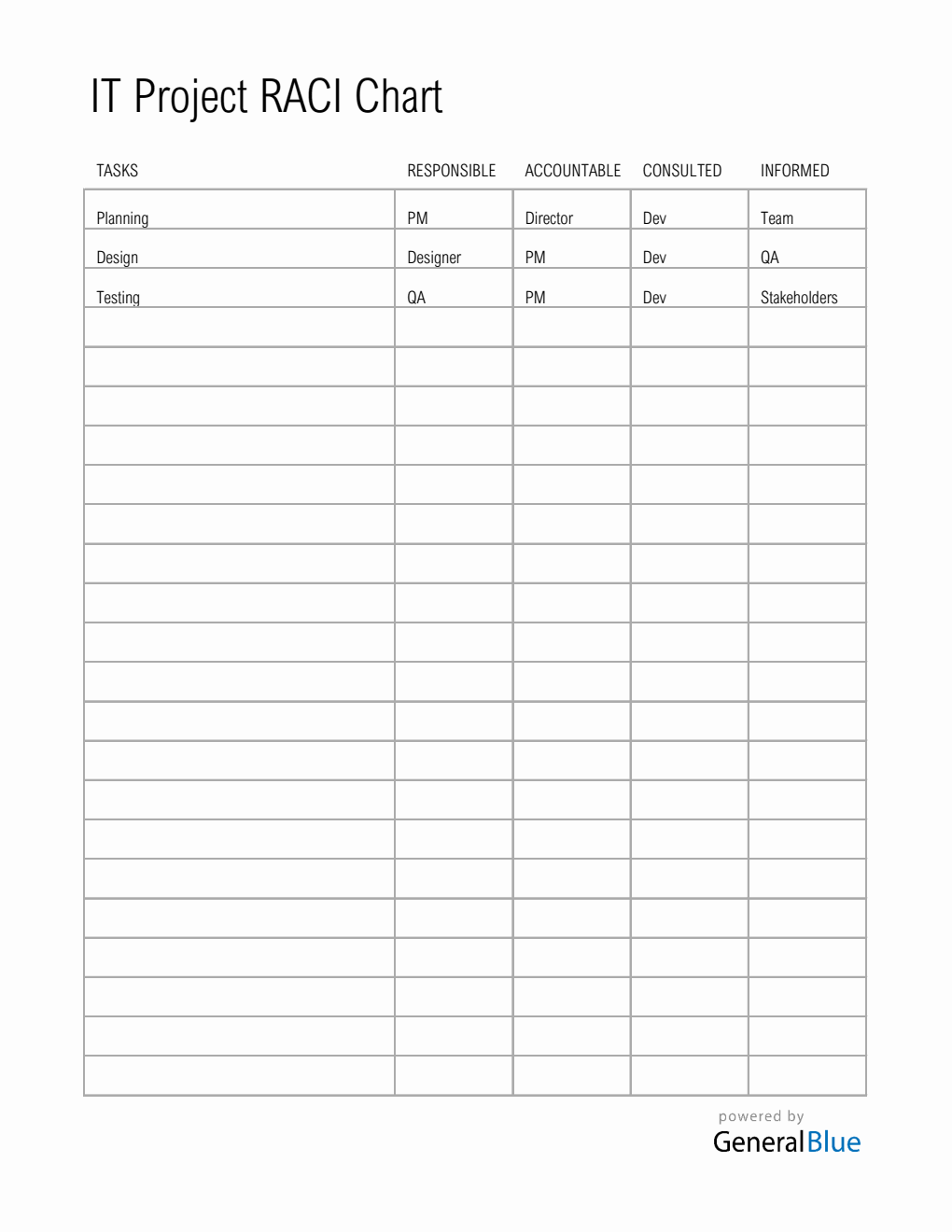 RACI Matrix For IT Projects Excel Template (Portrait Layout)
