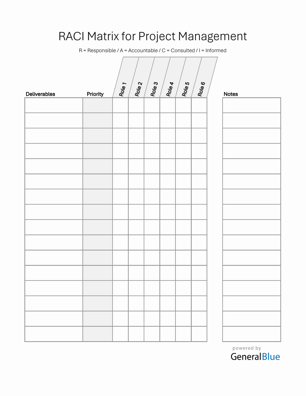 RACI Template Excel (with Priority Level)