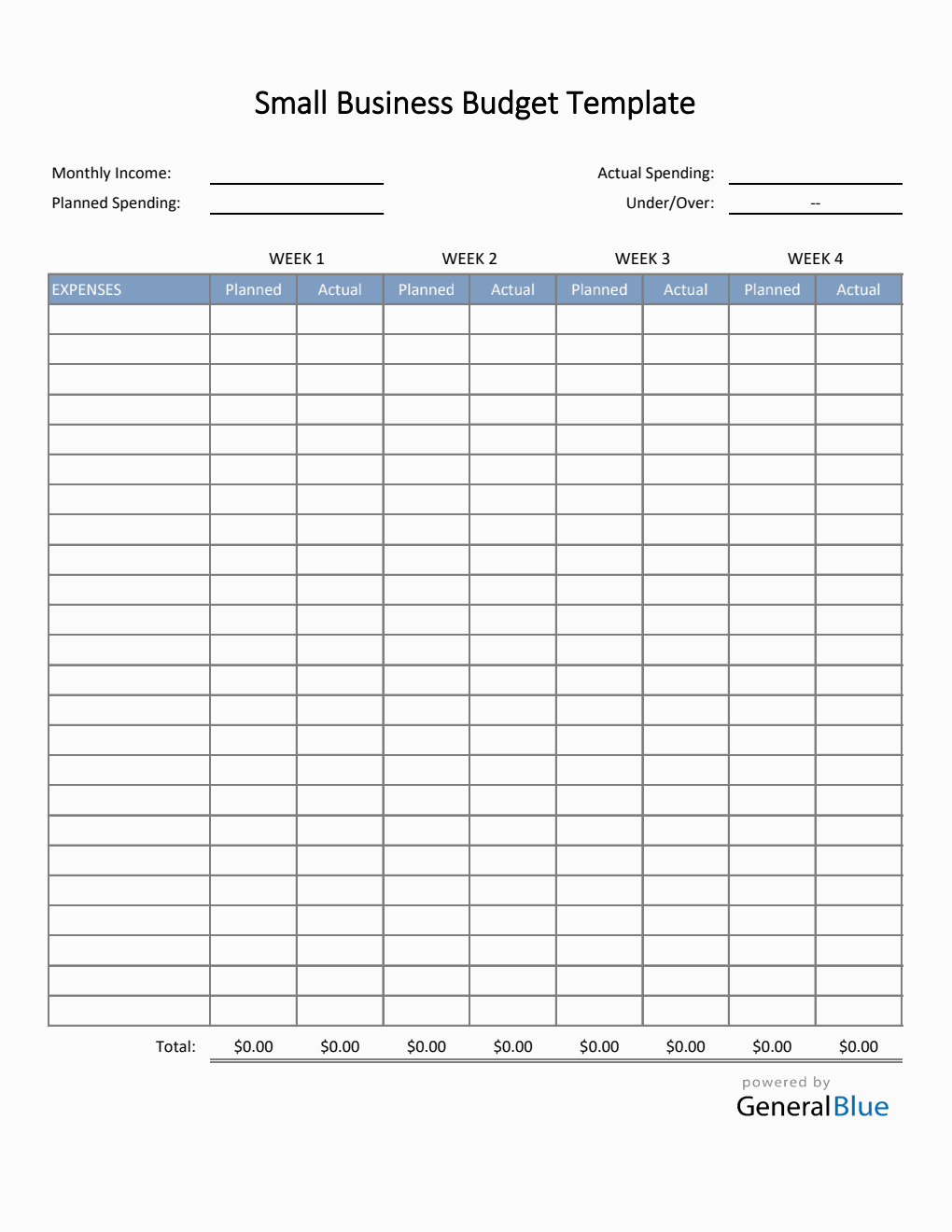 Small Business Budget Template in Excel (Basic)